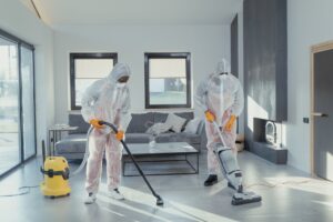 The Crucial Importance of Professional Carpet Cleaning Services
