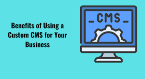 Top Benefits of Using a Custom CMS for Your Business