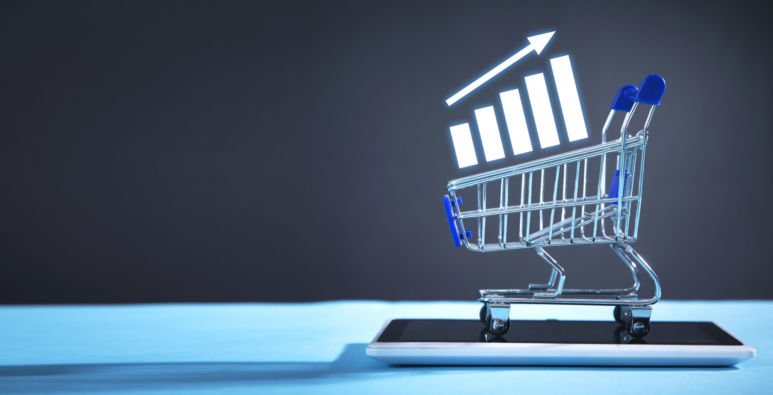 A Concise SEO Guideline to Boost Your E-commerce Store’s Rankings In 2024